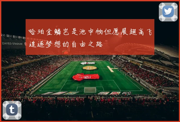 哈珀金鳞岂是池中物但愿展翅高飞追逐梦想的自由之路