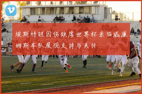 埃斯特旺因伤缺席世界杯亲临威廉姆斯车队展现支持与关怀